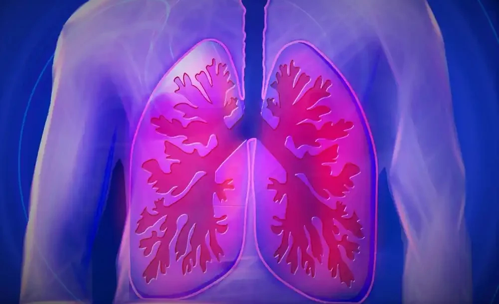 Prvi integrisani atlas ljudskih plućnih ćelija pruža uvid u bolesti pluća