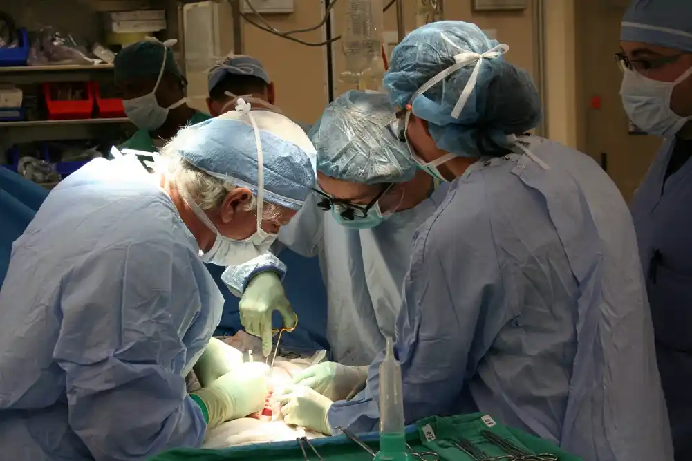 Studija meri uticaj pauziranja transplantacije organa u pandemiji