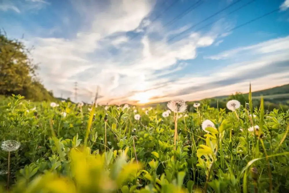 Danas pretežno sunčano i toplo, temperatura do 29 stepeni