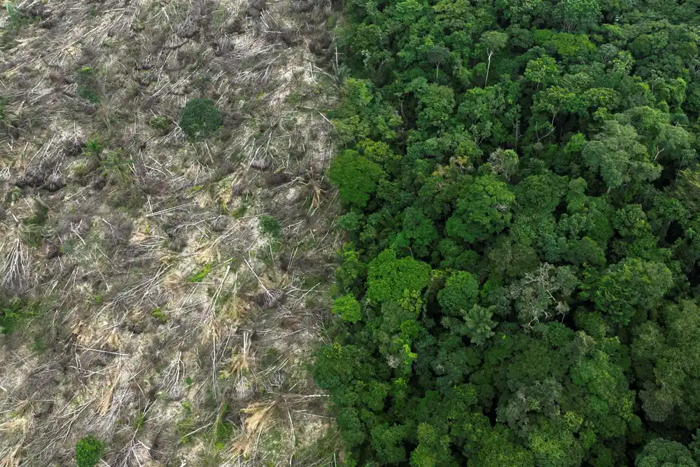 Krčenje šuma u ​​Amazoniji možda smanjuje učestalost grmljavina u Južnoj Americi