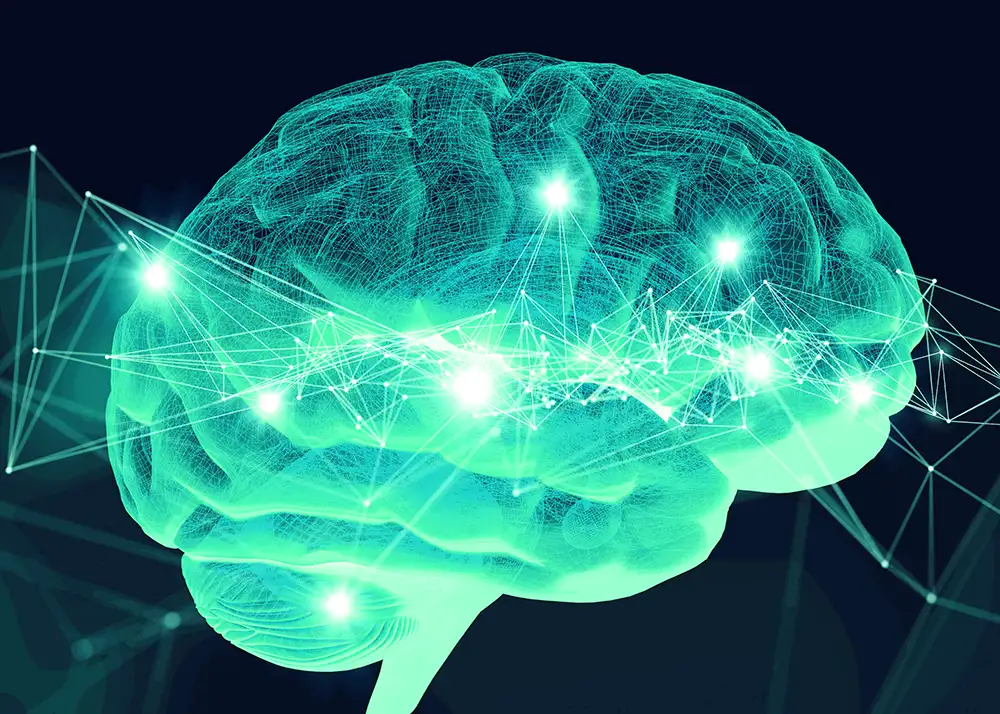 Studija ‘mini mozga’ otkriva moguću ključnu vezu sa poremećajem autističnog spektra