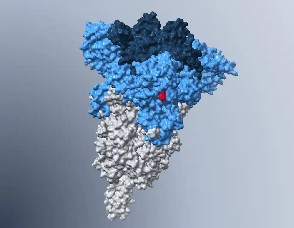 Mutacija u spike proteinu omogućava omikronskoj podvarijanti BA.5 da efikasno inficira ćelije pluća