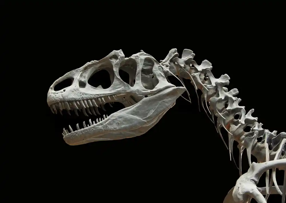 Naučnici identifikuju nove vrste dinosaurusa po otiscima stopala u Brazilu