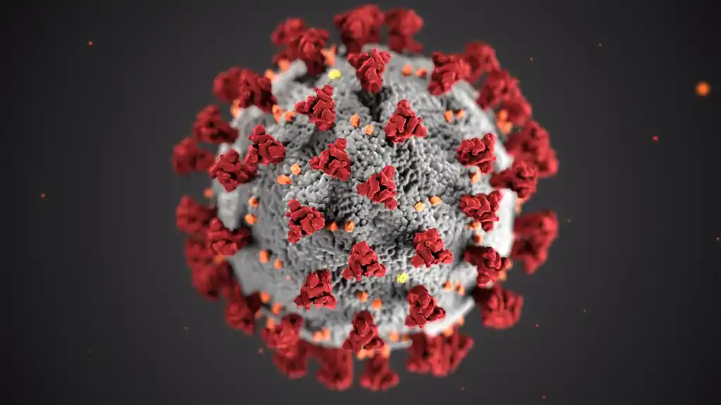Nova varijanta koronavirusa u Americi