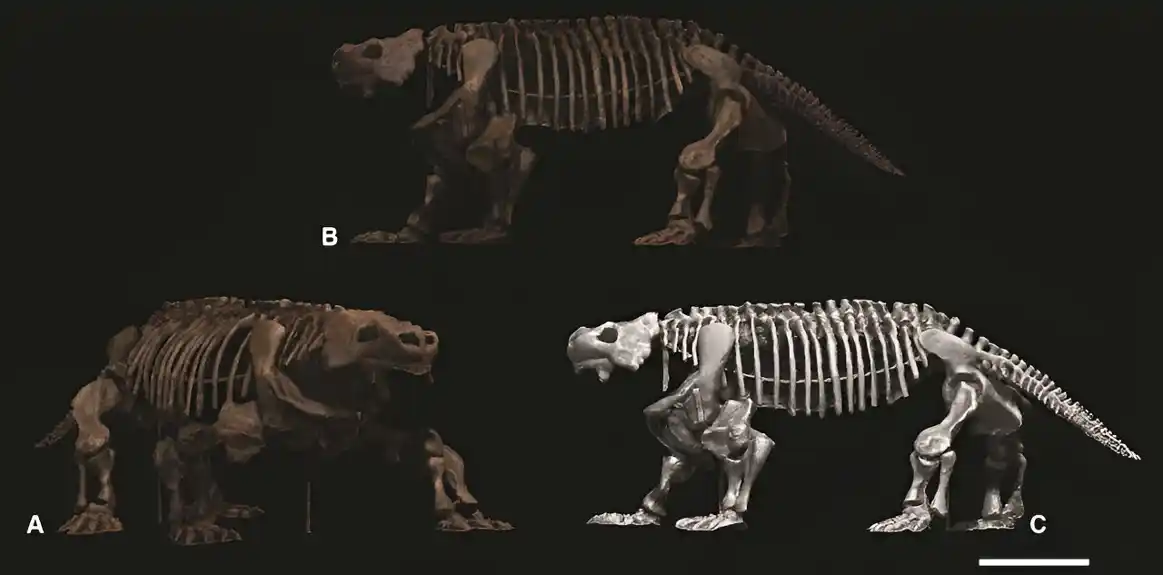 Upoznajte ogromnog izumrlog gmizavaca koji je težio koliko i odrasli crni nosorog