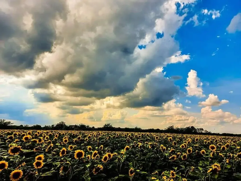 Sutra promenljivo oblačno i nestabilno, temperatura do 30 stepeni