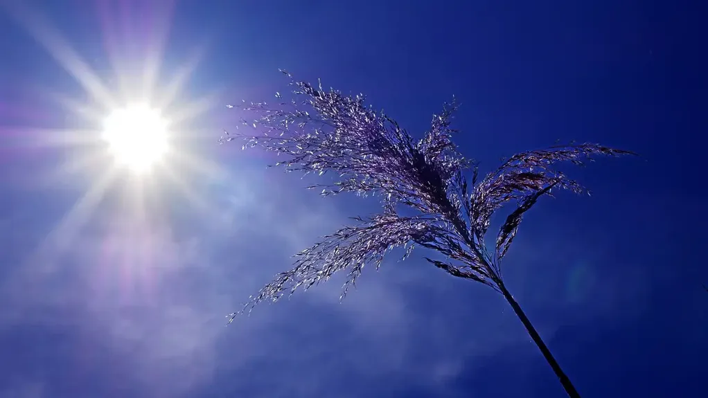 Danas sunčano i još toplije, temperatura do 33 stepena