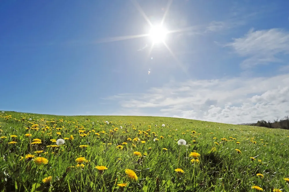 Danas sunčano i toplo, temperatura do 32 stepena