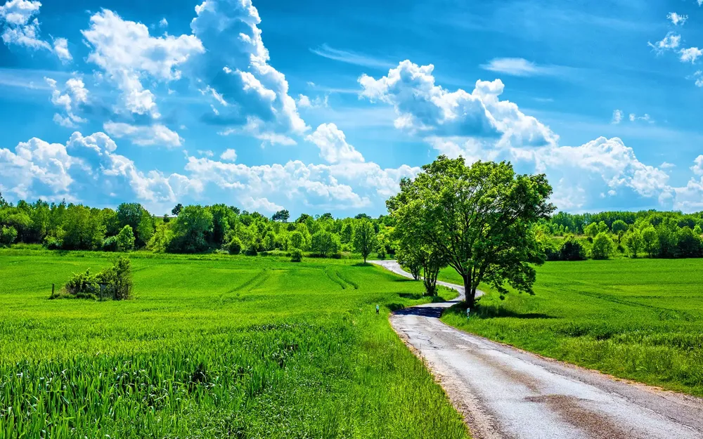 Danas pretežno sunčano, temperatura do 30 stepeni