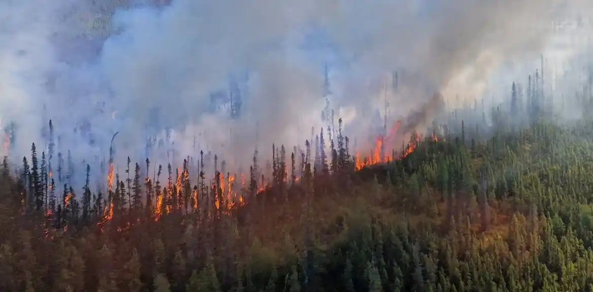 Predviđanje budućih rizika od šumskih požara izazvanih klimom u borealnim šumama