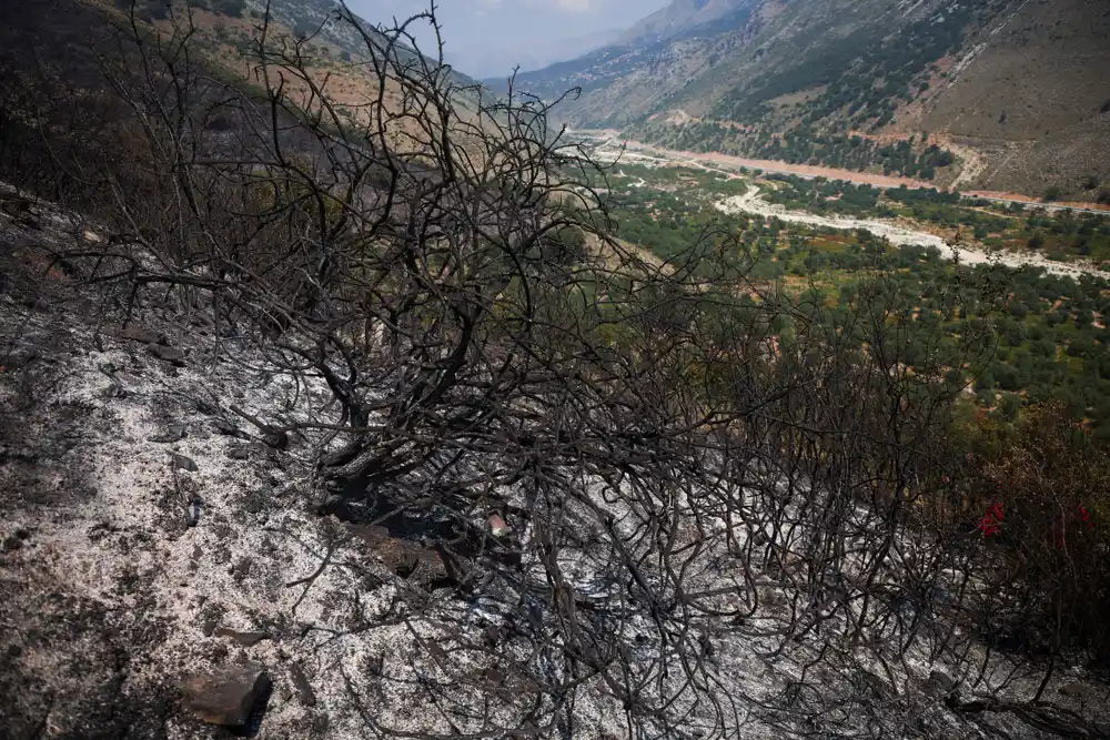 Albanija se bori sa obalnim šumskim požarima, četvorica uhapšena