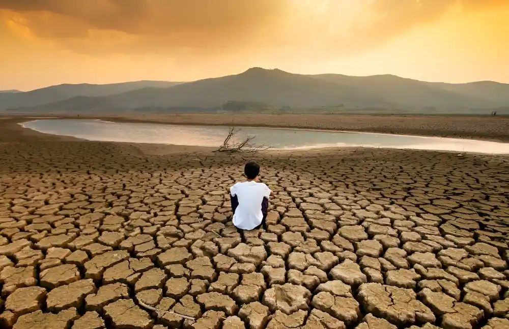 Majka priroda najbolje zna kada su u pitanju klimatska rešenja