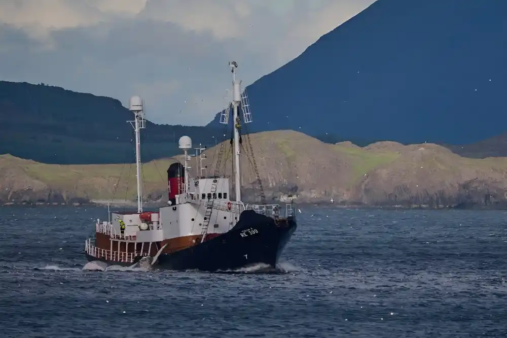 Island će nastaviti kitolov pod strožim uslovima