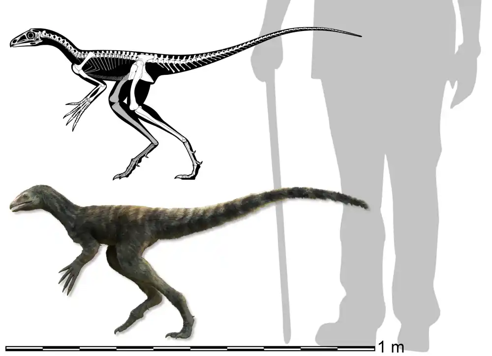 Istraživači su pronašli fosilizovani neleteći prethodnik pterosaurusa u Brazilu