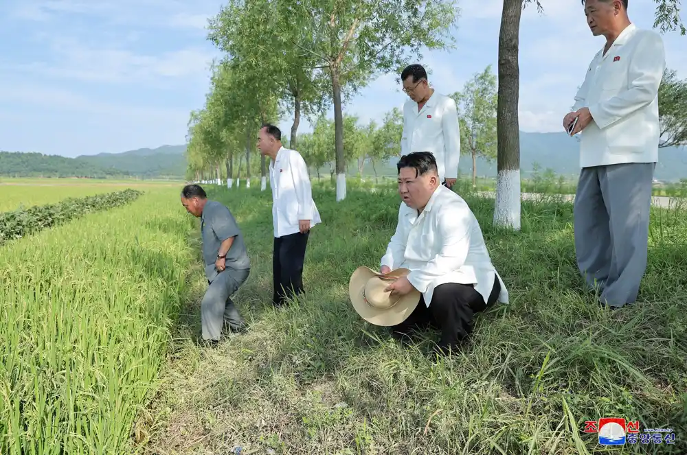 Kim Džong Un posećuje poljoprivredna zemljišta pogođena tajfunom