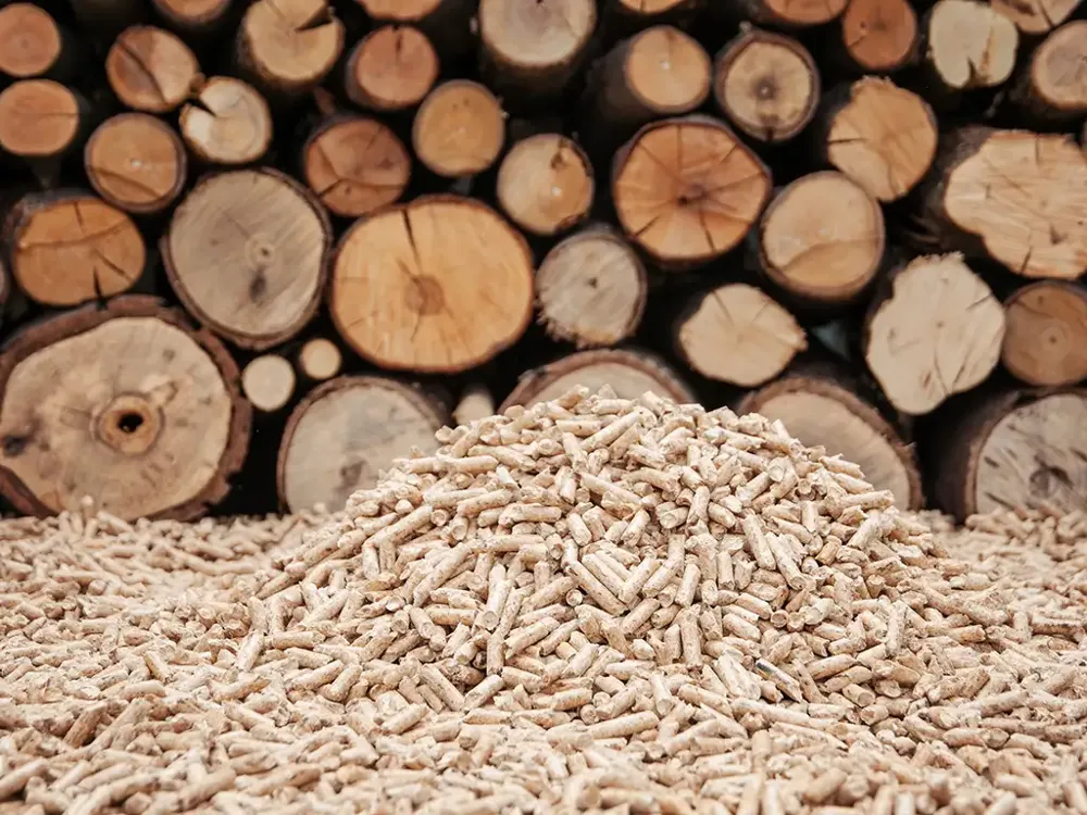 Vlada Srbije produžila privremenu zabranu uvoza peleta od drveta za dodatna tri meseca