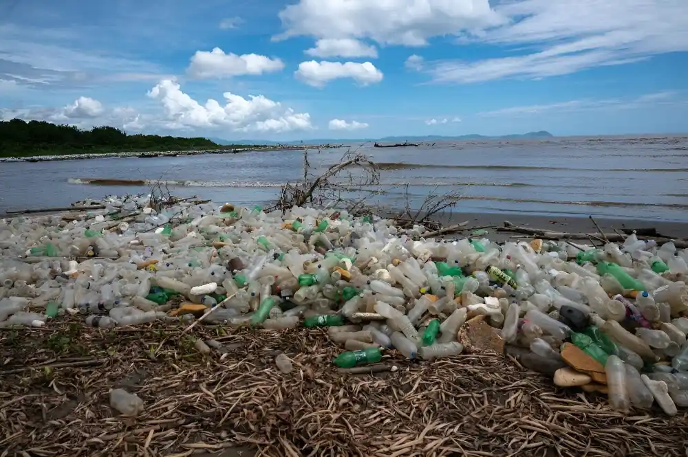 Plastično smeće u okeanima bi moglo da opstane duže nego što se očekivalo