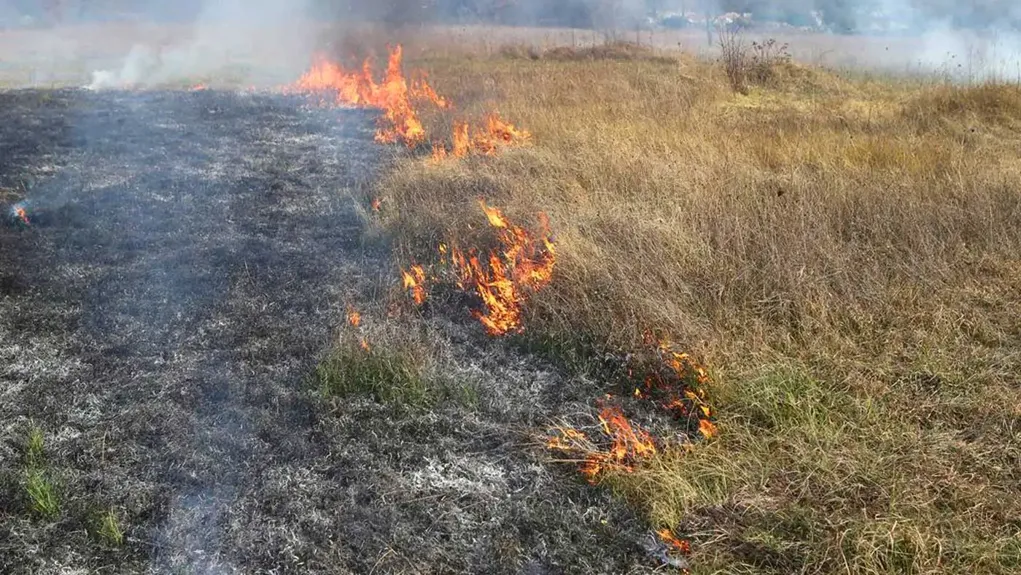 MUP apeluje na građane da zbog visokih temperatura ne pale travu i nisko rastinje