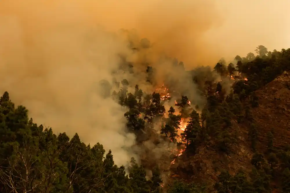 Požar na španskom ostrvu Tenerife usporava, nema novih evakuacija