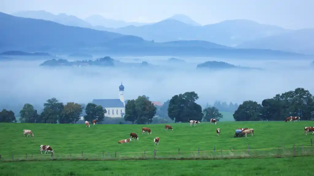 Sankcije EU Rusiji mogle bi da zaustave nemačku industriju