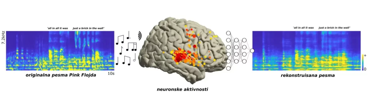 Snimci mozga prikazuju muzikalnost govora