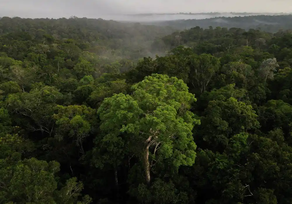 Brazilska vlada počinje da proteruje hiljade ljudi sa dve amazonske autohtone teritorije