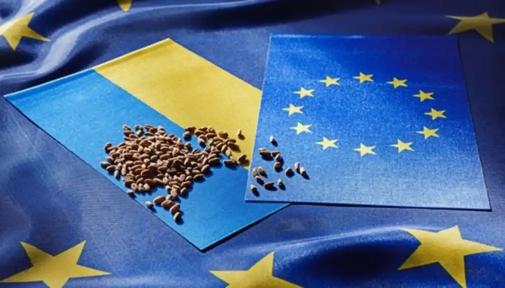 Evropska komisija poziva Poljsku, Mađarsku i Slovačku da budu konstruktivne po pitanju ukrajinskog žita