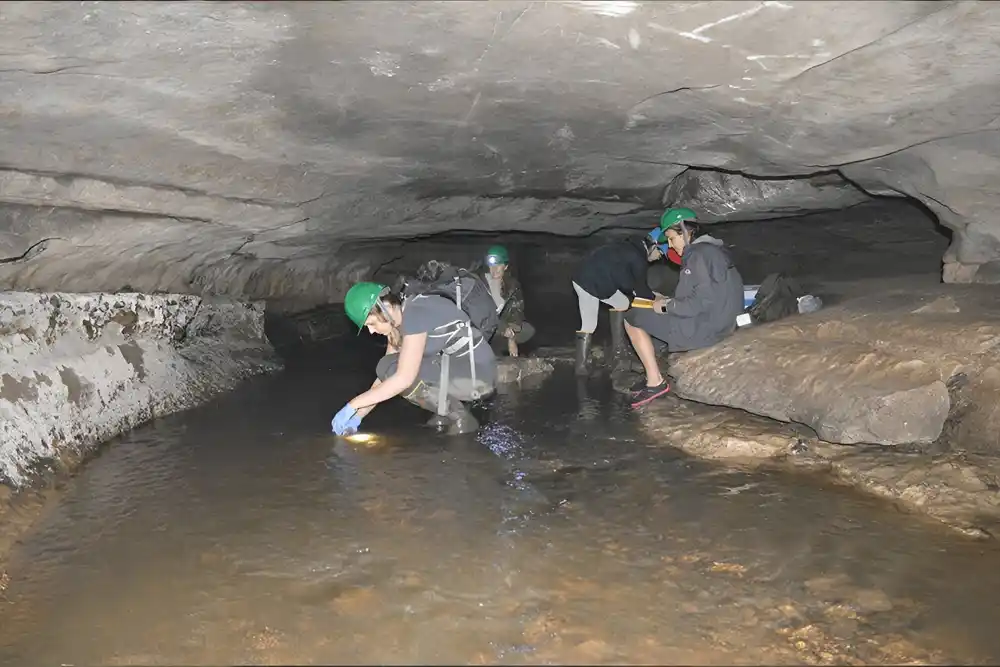 Istraživači su otkrili visoke koncentracije mikroplastike u pećinskoj vodi i sedimentu