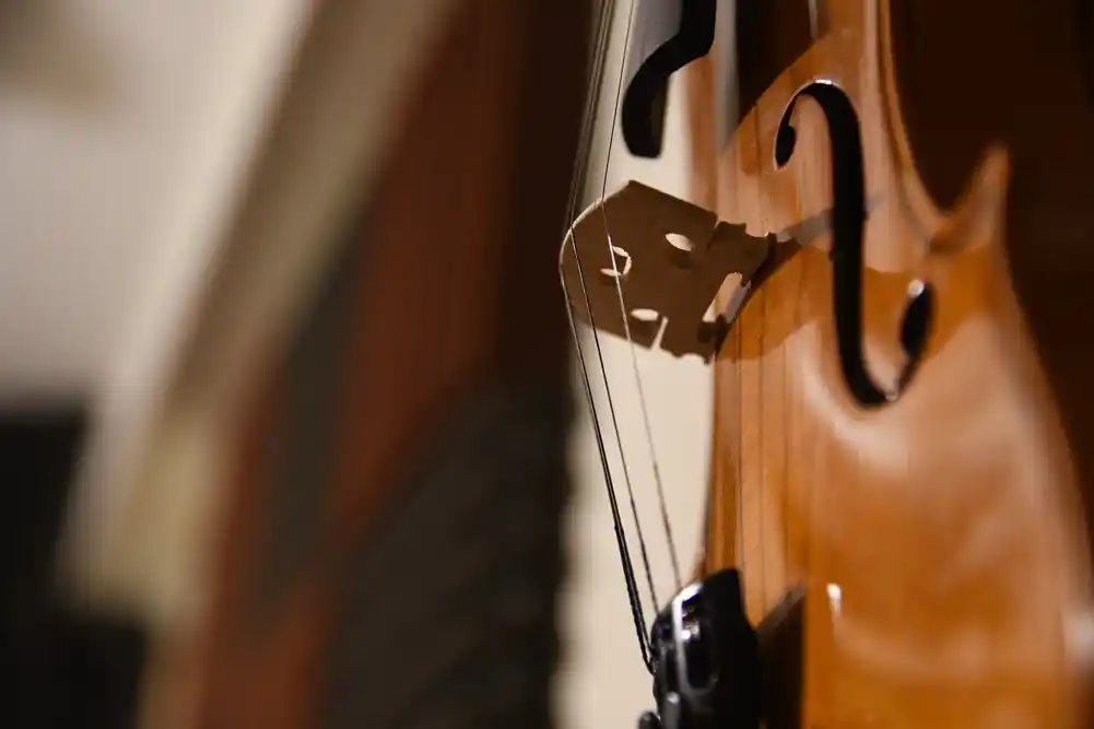 Moždani talasi uznemirenih pacijenata usporavaju do meditativnog stanja uz muziku viole