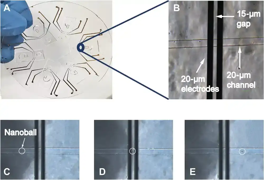 Nova metoda kombinuje DNK nanokuglice i elektroniku kako bi omogućila jednostavno otkrivanje patogena