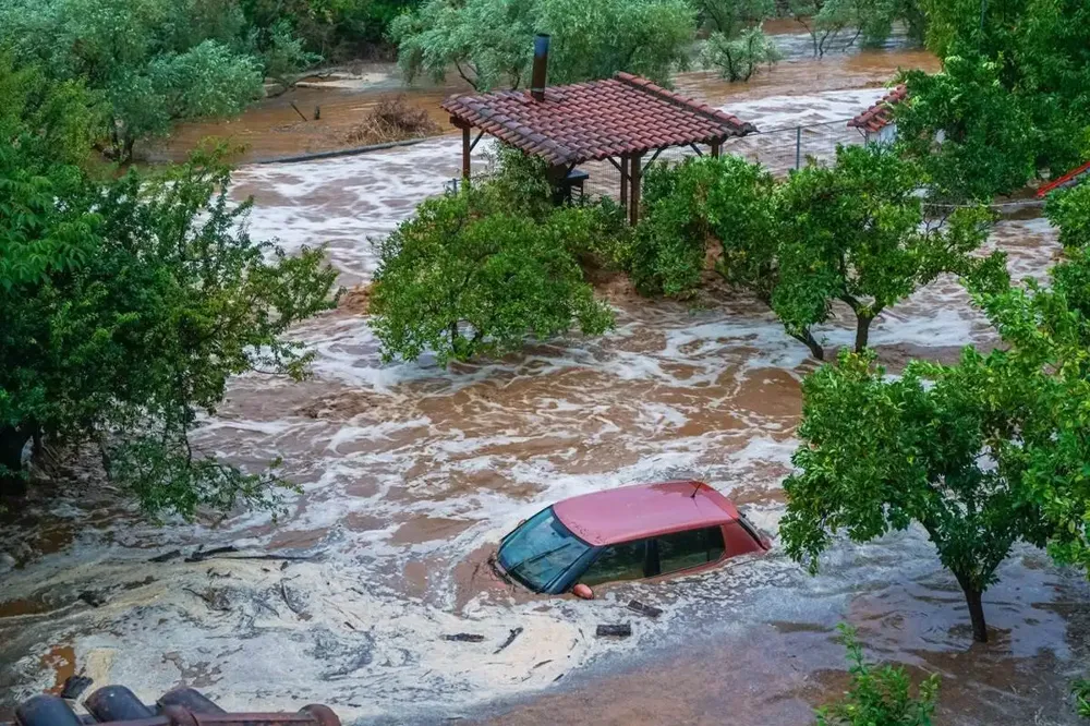 Više od 200.000 životinja umrlo je od posledica nevremena u Grčkoj