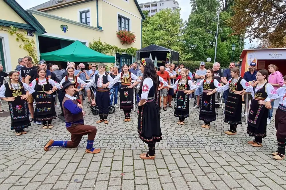 Srpsko društvo dobilo priznanje grada Beča za doprinos u razvoju kulturnog života