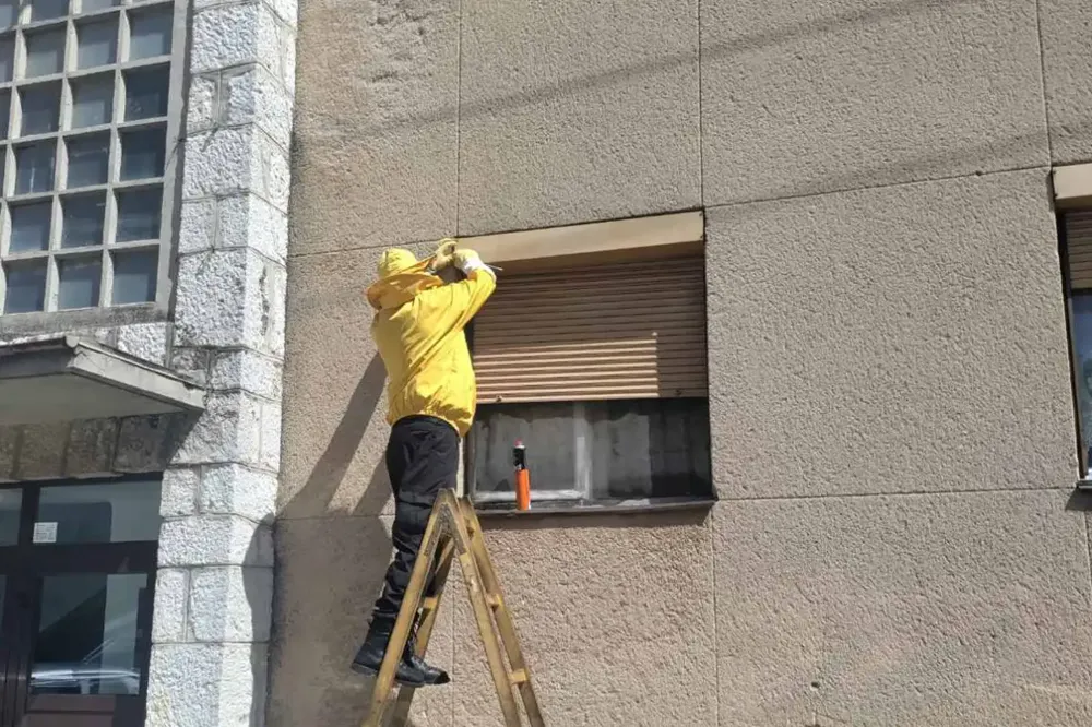 Najezda stršljenova i osa u Trebinju, građani zatvoreni u kućama