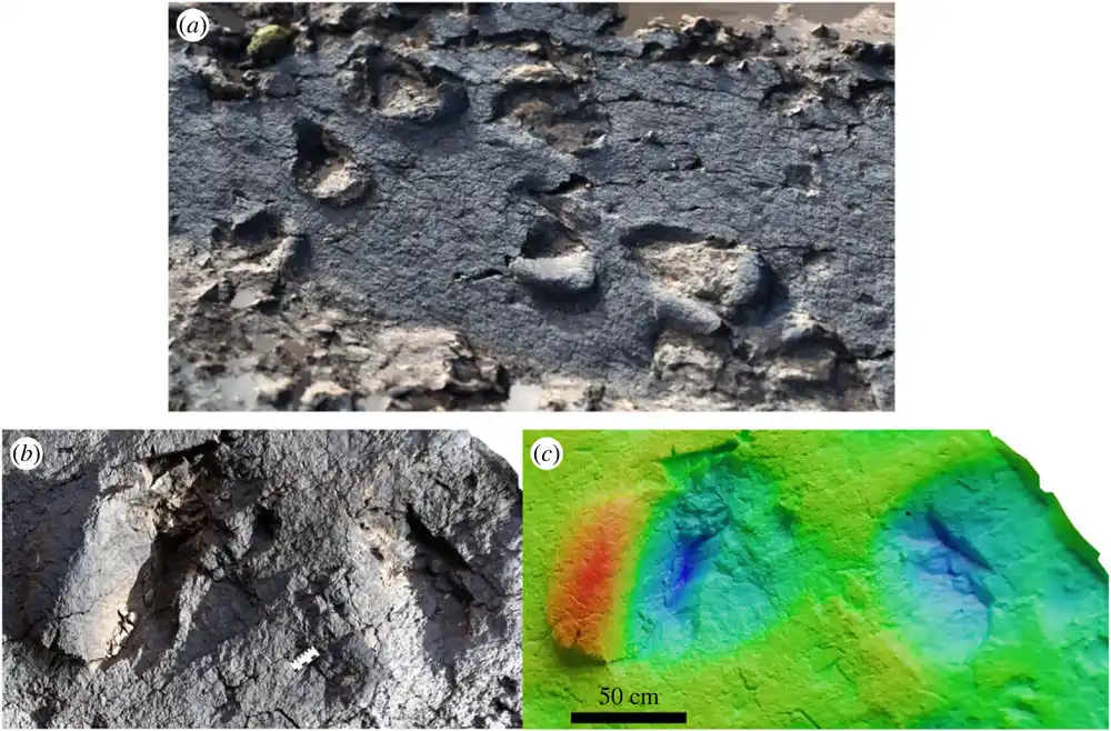 Tri nova nalazišta dinosaurusa iz doba jure pronađena u Maroku