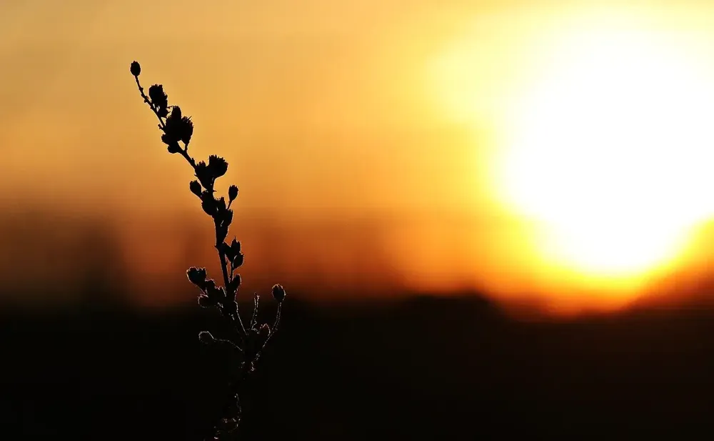 Do kraja dana sunčano i toplo, uveče kiša – temperatura do 29 stepeni