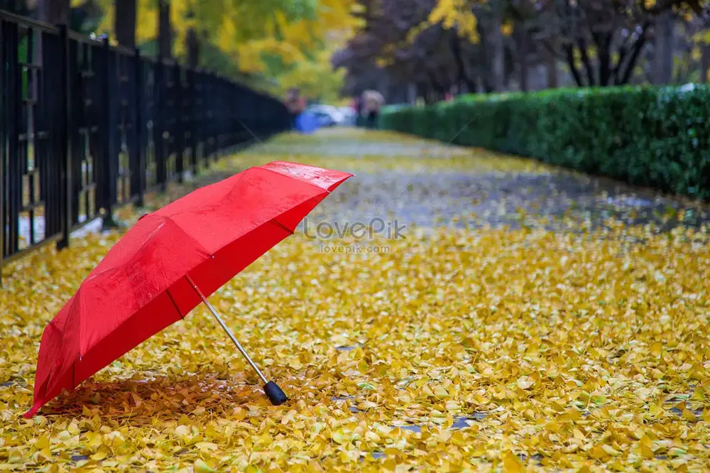 Do kraja dana promenljivo oblačno sa kišom, temperatura do 29 stepeni