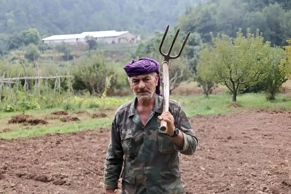 Vrućina, suša, požari prete severnim šumama Libana