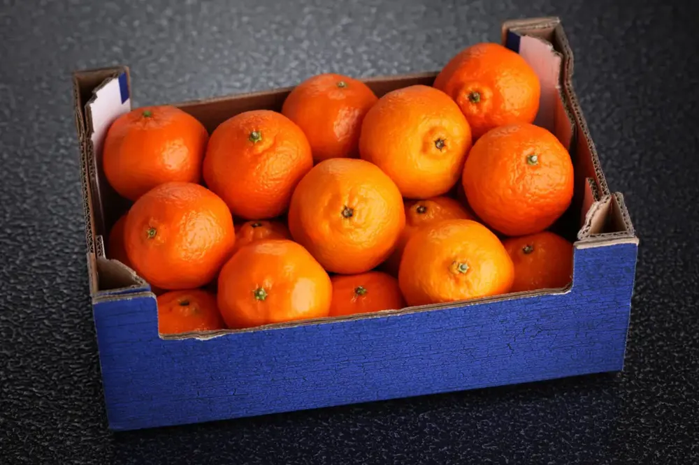 Sa granice vraćene mandarine iz Hrvatske, u njima nedozvoljeni pesticid