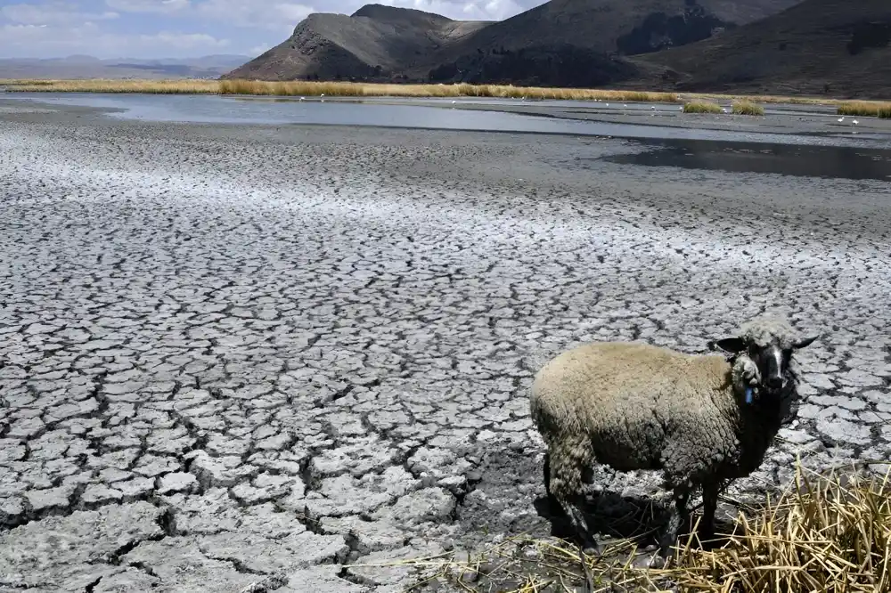 Klimatske promene glavni krivac za vruću južnoameričku zimu