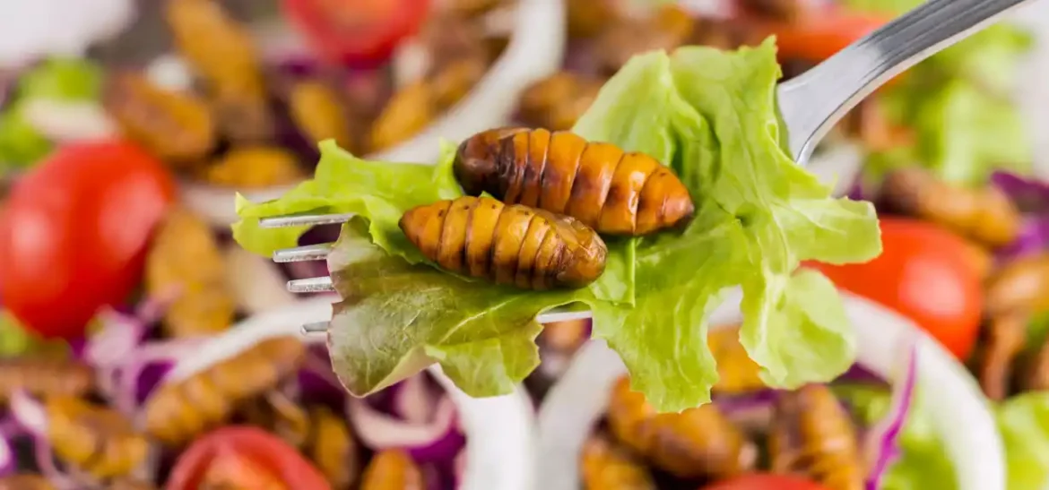 Miris kao ključna karika: Kako insekti, mikroalge i bakterije postaju budućnost ishrane?