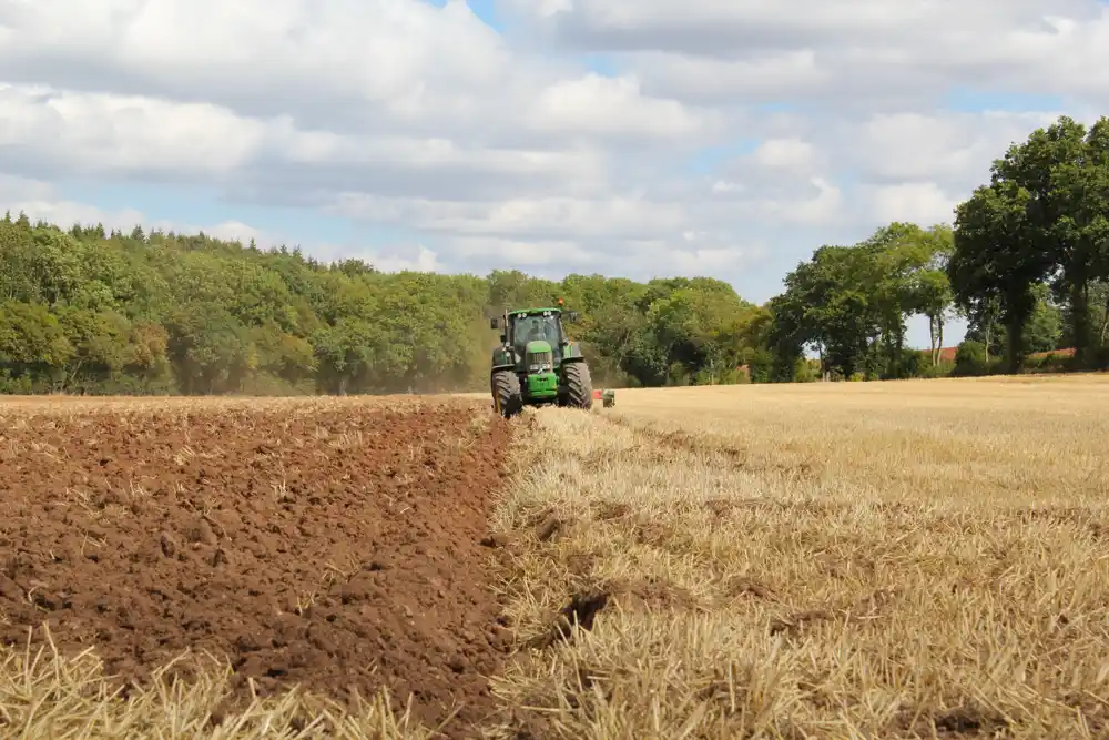 Studija istražuje faktore rizika za samoubistvo kod farmera