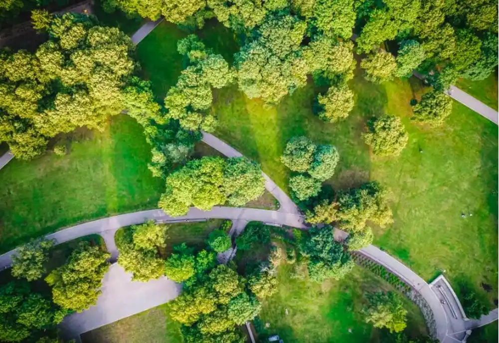 Svima je potreban pristup urbanim zelenim površinama, a ne samo u bogatijim područjima