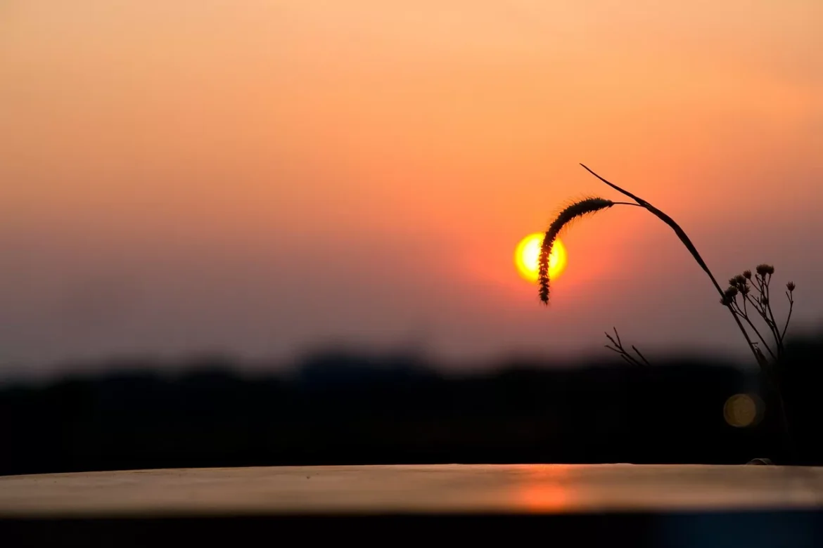 Danas promenljivo oblačno sa sunčanim intervalima, temperatura do 32 stepena