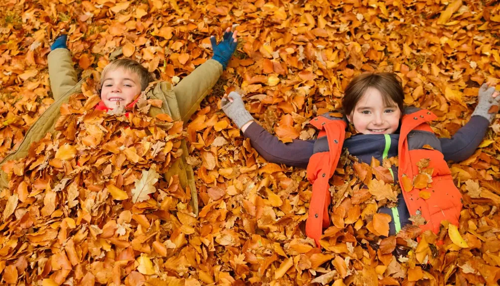 Sutra promenljivo oblačno i osetno toplije, temperatura do 25 stepeni