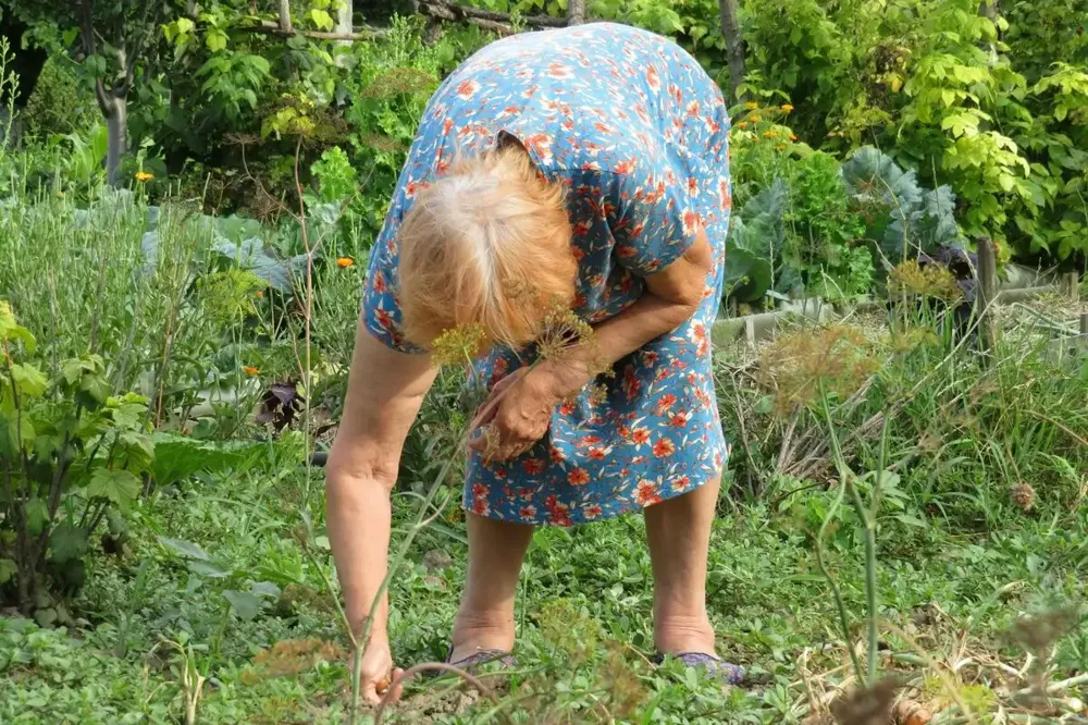 Bez zdravstvenog osiguranja 17 odsto žena koje žive na selu