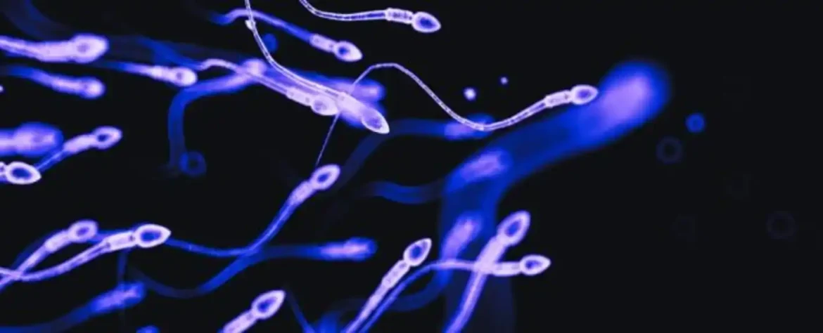 50 godina podataka povezuje insekticide sa globalnim padom broja spermatozoida kod muškaraca