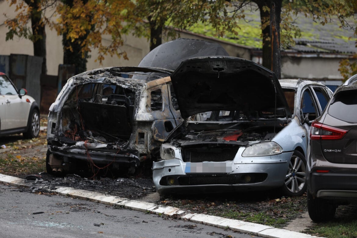 Seničić: Izgoreo automobil koji sam iznajmio, vatra prešla sa drugog vozila