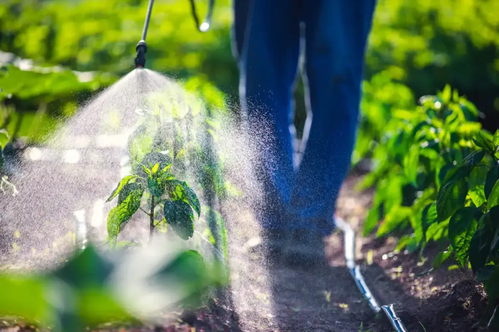 Naučnici predlažu nova rešenja za očuvanje bezbedne vode za piće jer upotreba pesticida naglo raste širom sveta