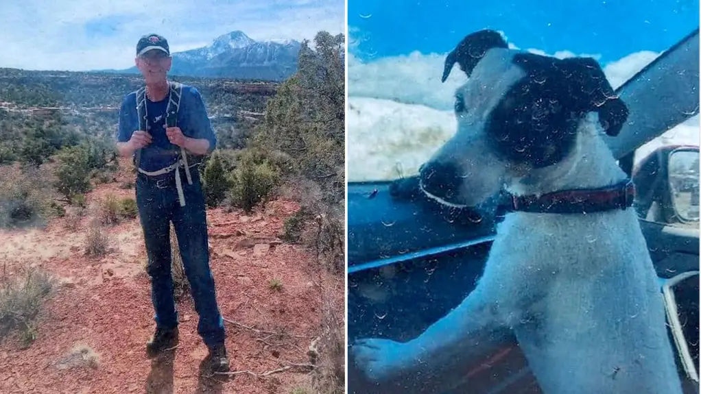 Verni pas preživeo 10 nedelja, ostao sa vlasnikom koji je preminuo u planinama Kolorada