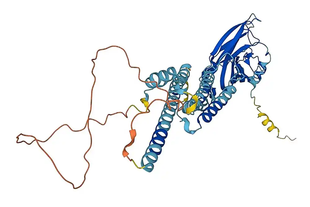 Istraživači koriste moćnu AI alatku da bi stekli nove uvide u strukture proteina